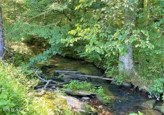 2nd image of 674 Paint Rock Rd, Philadelphia, TN 37846 | MLS# 1351949