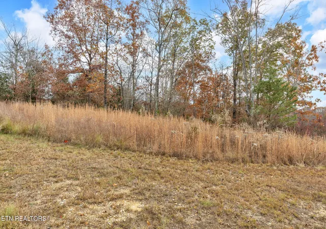20th image of Emerald Pointe Cir, Rockwood, TN 37854 | MLS# 1351976