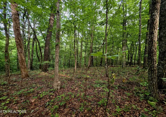 3rd image of Bow Rd, Monterey, TN 38574 | MLS# 1352401