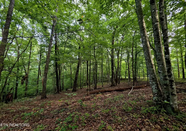 4th image of Bow Rd, Monterey, TN 38574 | MLS# 1352401