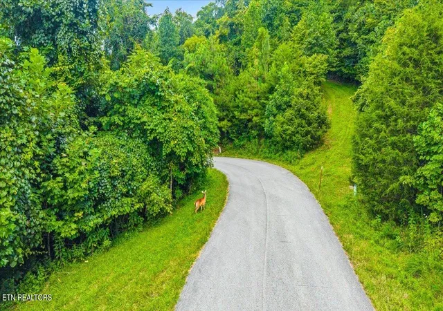 Photo 4 of Land for sale at 97 Swan Song Tr, Sharps Chapel, TN 37866 | MLS# 1352290 | Listing updated on 2026-08-19