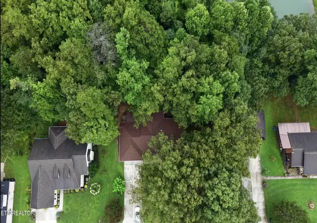 35th image of 162 Mineral Springs Ln, Jacksboro, TN 37757 | MLS# 1351998