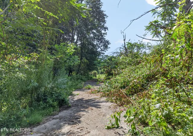37th image of 5210 Lowes Gap Rd, Pikeville, TN 37367 | MLS# 1352017