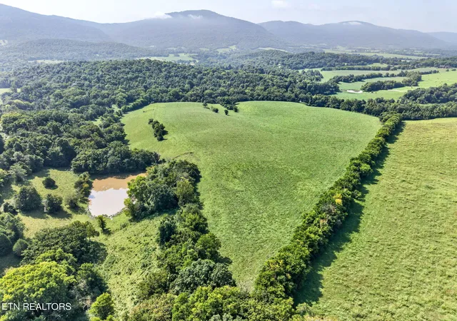 5th image of 5210 Lowes Gap Rd, Pikeville, TN 37367 | MLS# 1352017