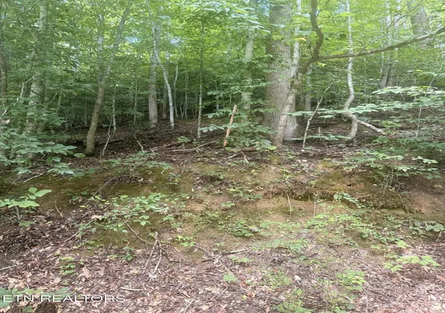 17th image of 0 Suttons Rd, Sevierville, TN 37876 | MLS# 1352263