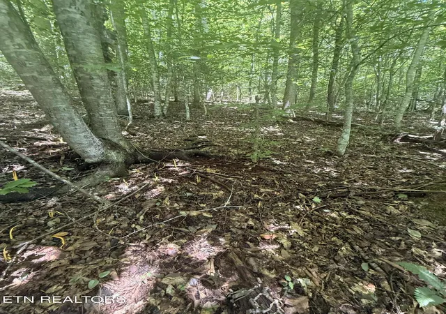 1st image of 0 Suttons Rd, Sevierville, TN 37876 | MLS# 1352263