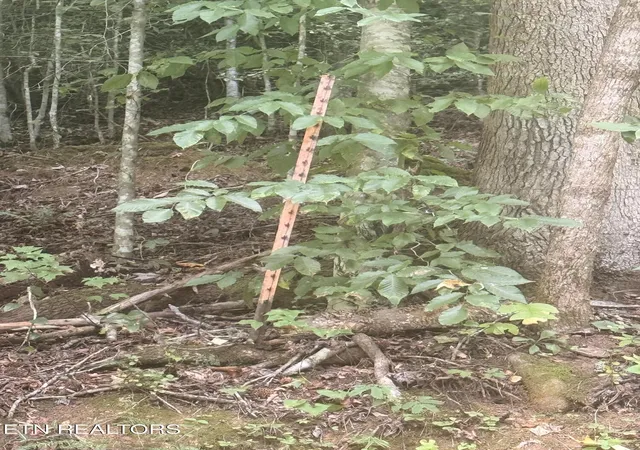 2nd image of 0 Suttons Rd, Sevierville, TN 37876 | MLS# 1352263