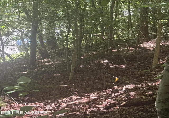 3rd image of 0 Suttons Rd, Sevierville, TN 37876 | MLS# 1352263
