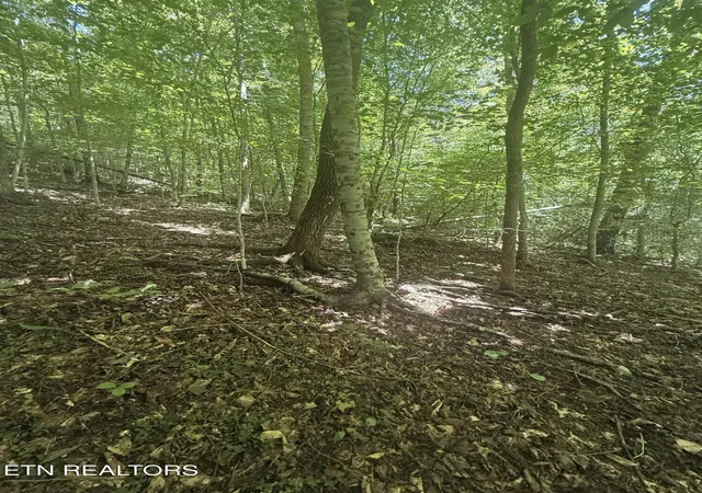 4th image of 0 Suttons Rd, Sevierville, TN 37876 | MLS# 1352263