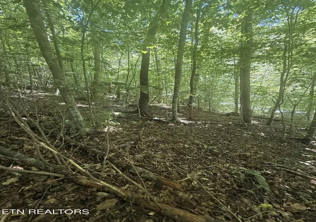 5th image of 0 Suttons Rd, Sevierville, TN 37876 | MLS# 1352263