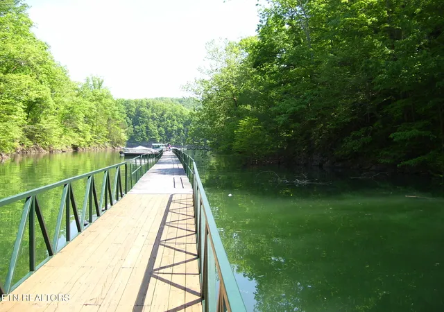 14th image of Lot 609 Chimney Rock Rd, New Tazewell, TN 37825 | MLS# 1352054