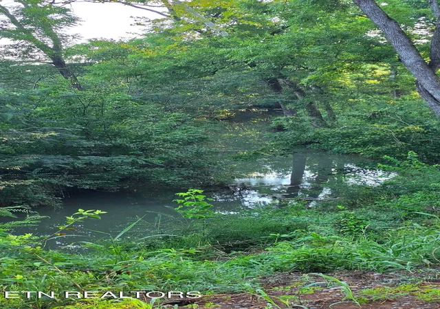 27th image of County Road 267, Niota, TN 37826 | MLS# 1352124