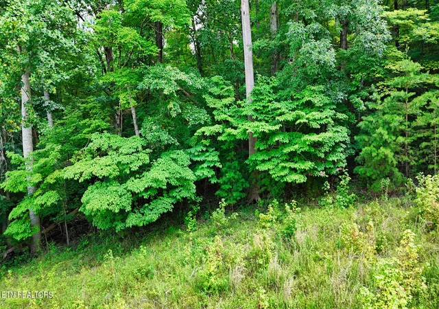 60th image of Lot 4 Imperial Dr, Ooltewah, TN 37363 | MLS# 1352258