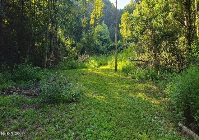 1st image of 6504 Hwy 66, Rogersville, TN 37857 | MLS# 1352120