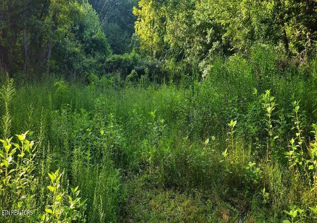 Photo 4 of Land for sale at 6504 Highway 66, Rogersville, TN 37857 | MLS# 1352120 | Listing updated on 2026-09-28