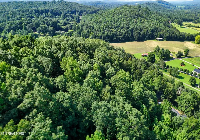 60th image of Moss Rd, Philadelphia, TN 37846 | MLS# 1352504