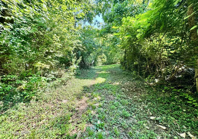 37th image of 0 Tecoy Quarry Rd, Knoxville, TN 37921 | MLS# 1352123