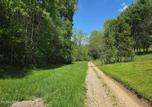 1st image of 000 Dooley Hollow Rd, Ewing, VA 24248 | MLS# 1352156