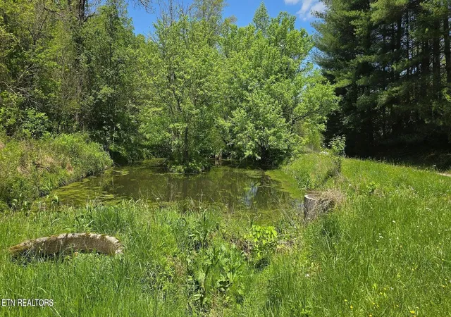 2nd image of 000 Dooley Hollow Rd, Ewing, VA 24248 | MLS# 1352156