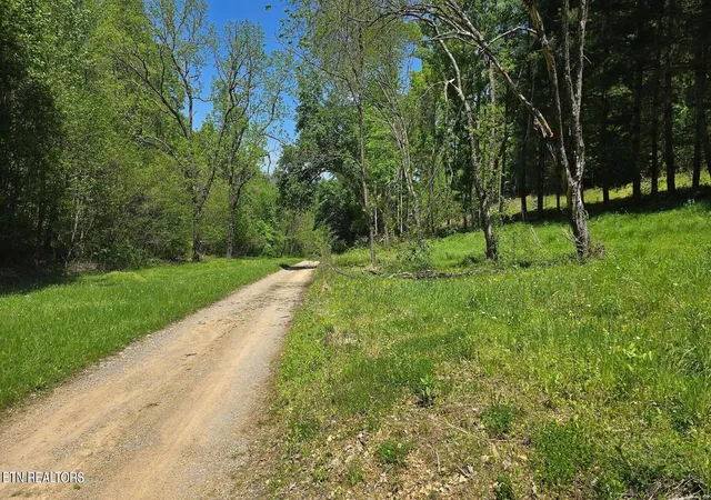image of 000 Dooley Hollow Rd, Ewing, VA 24248 | MLS# 1352156