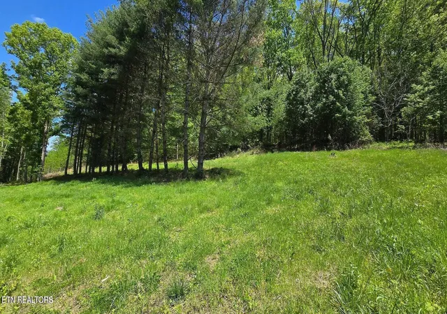 image of 000 Dooley Hollow Rd, Ewing, VA 24248 | MLS# 1352156