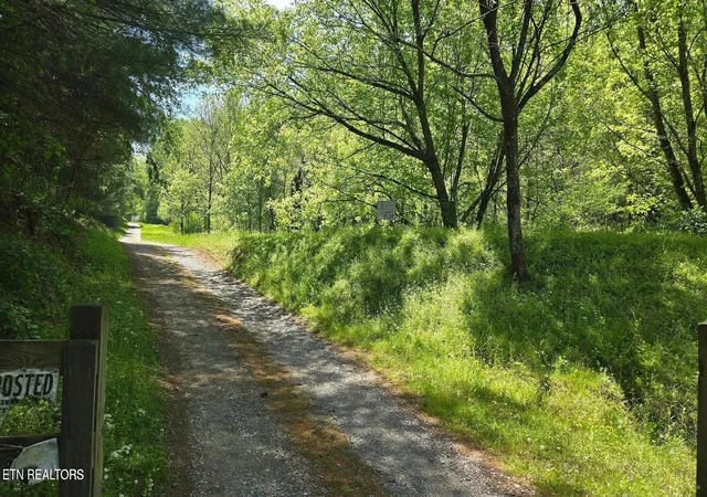 image of 000 Dooley Hollow Rd, Ewing, VA 24248 | MLS# 1352156