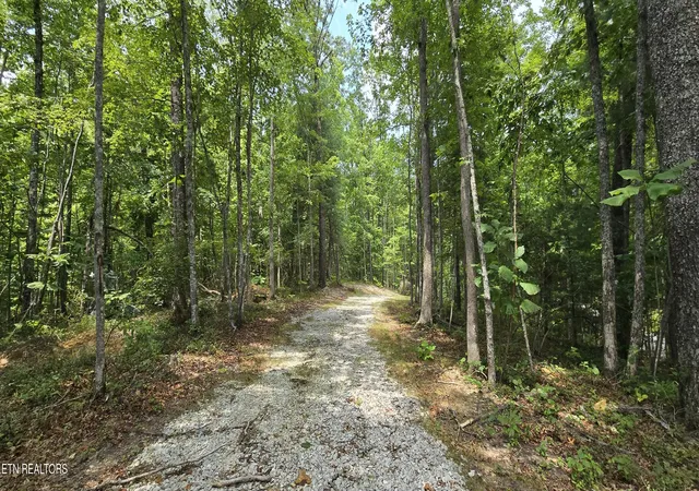 Photo 3 of Land for sale at 0 Wilderness Tr, Oneida, TN 37841 | MLS# 1352424 | Listing updated on 2026-09-02