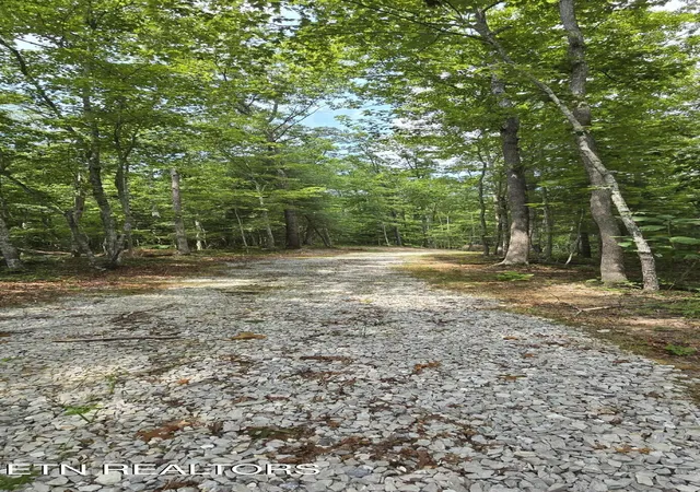 Photo 4 of Land for sale at 0 Wilderness Tr, Oneida, TN 37841 | MLS# 1352424 | Listing updated on 2026-09-02