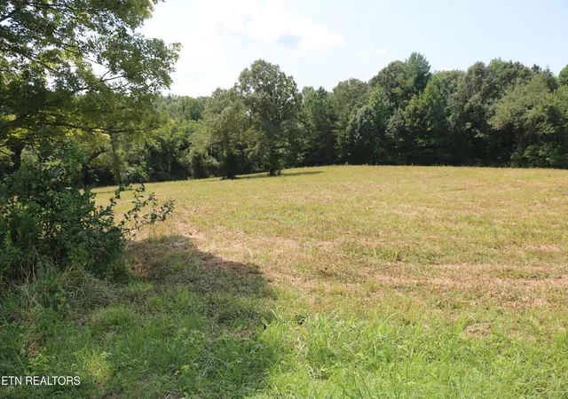 5th image of 76 Acres Chestuee Ave, Englewood, TN 37329 | MLS# 1352176
