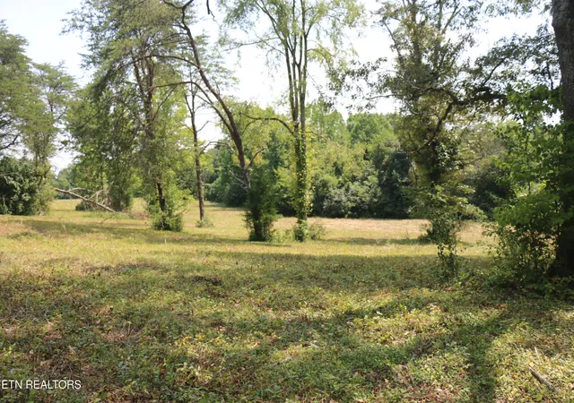 11th image of 286 Acres 4th St, Englewood, TN 37329 | MLS# 1352183