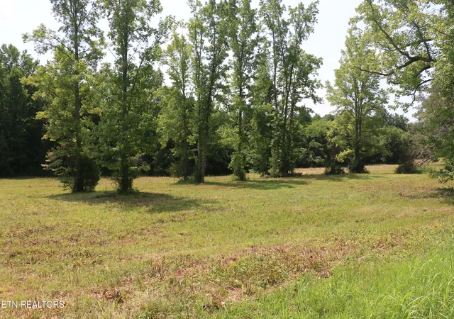 3rd image of 286 Acres 4Th St, Englewood, TN 37329 | MLS# 1352183