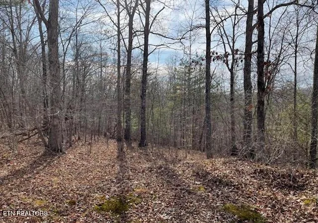 1st image of 6786 Ac Junior Cox Rd, Deer Lodge, TN 37726 | MLS# 1352200