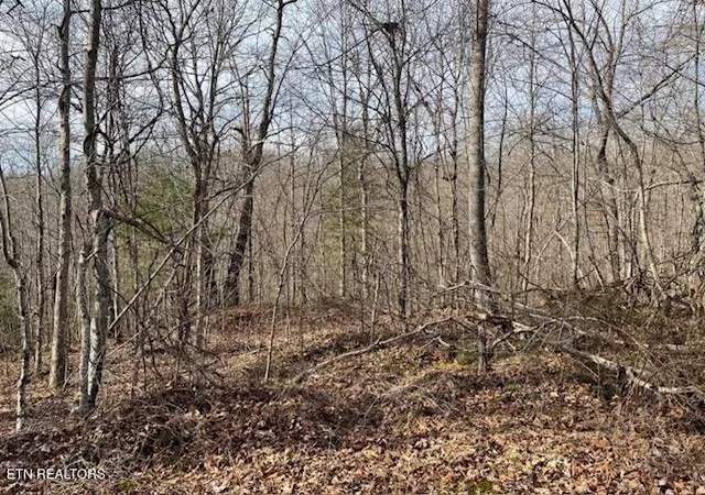2nd image of 6786 Ac Junior Cox Rd, Deer Lodge, TN 37726 | MLS# 1352200