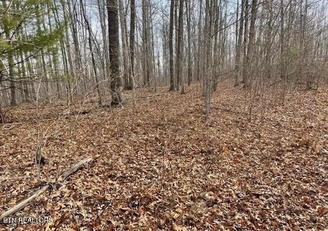 3rd image of 6786 Ac Junior Cox Rd, Deer Lodge, TN 37726 | MLS# 1352200