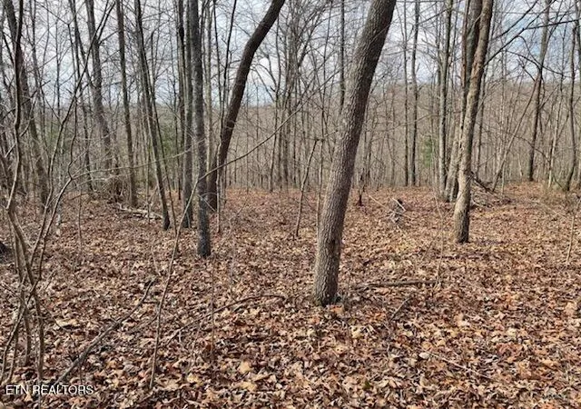 4th image of 6786 Ac Junior Cox Rd, Deer Lodge, TN 37726 | MLS# 1352200