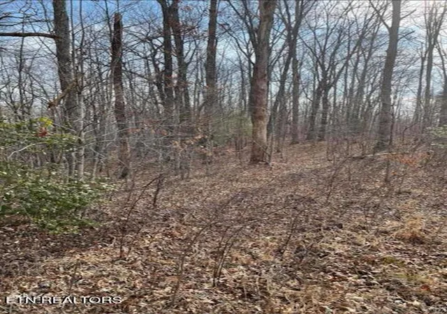 5th image of 6786 Ac Junior Cox Rd, Deer Lodge, TN 37726 | MLS# 1352200