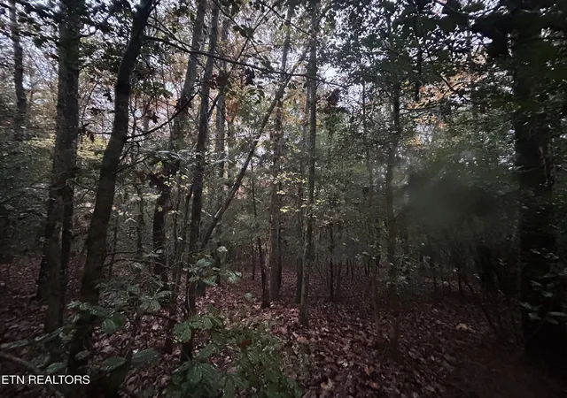 2nd image of Wilder Rd, Clarkrange, TN 38553 | MLS# 1352219