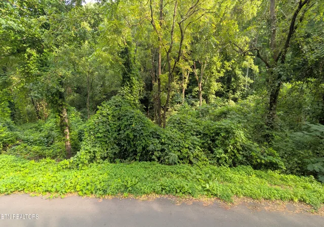 2nd image of 1309 Matthews Hollow Rd, Sevierville, TN 37876 | MLS# 1352271