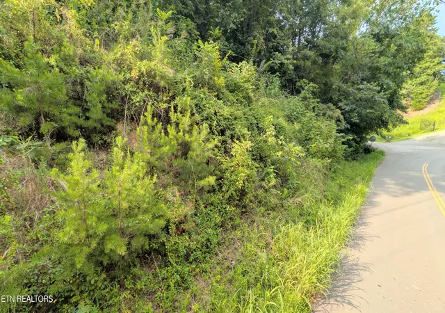 Photo 3 of Land for sale at 1309 Matthews Holw Rd, Sevierville, TN 37876 | MLS# 1352271 | Listing updated on 2026-10-09