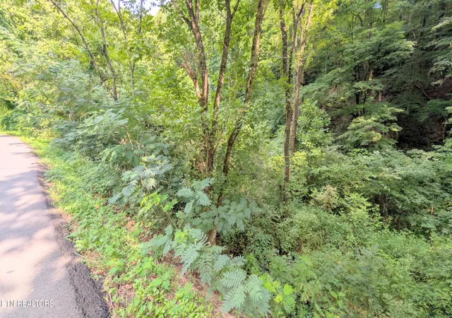 Photo 4 of Land for sale at 1309 Matthews Holw Rd, Sevierville, TN 37876 | MLS# 1352271 | Listing updated on 2026-10-09