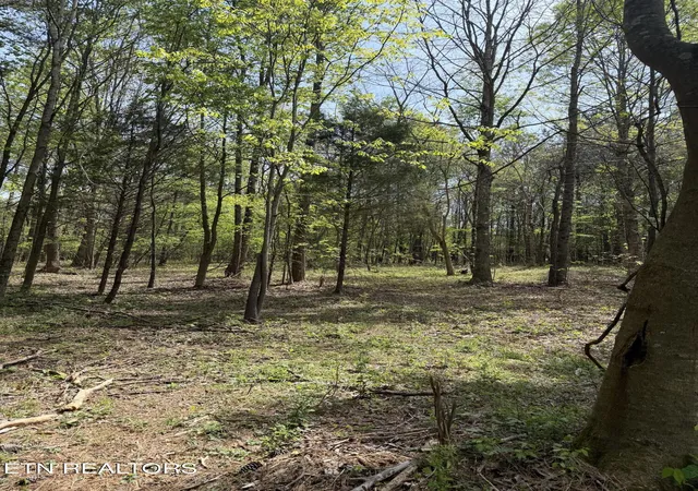 2nd image of 7836 Dry Valley Rd, Loudon, TN 37774 | MLS# 1352252
