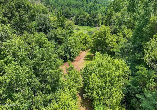 16th image of Gray Rd, Maynardville, TN 37807 | MLS# 1352253