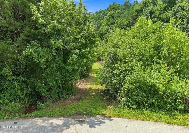 3rd image of Gray Rd, Maynardville, TN 37807 | MLS# 1352253