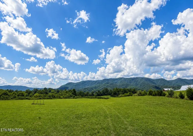 2nd image of 32acres Tennessee 63, Speedwell, TN 37870 | MLS# 1352412