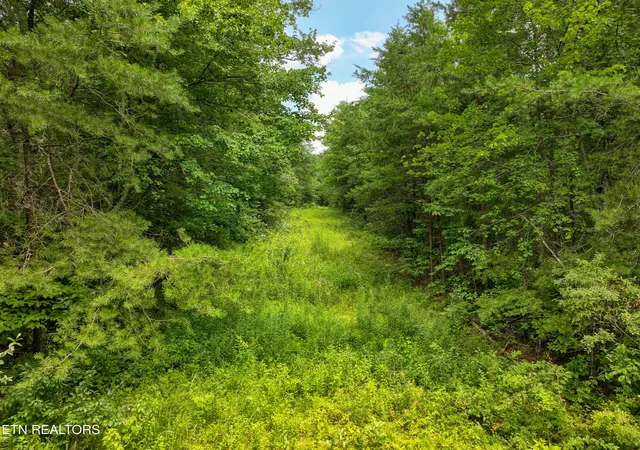 Photo 1 of Land for sale at 5288 Ac Nashville Hwy, Deer Lodge, TN 37726 | MLS# 1352317 | Listing updated on 2026-09-09