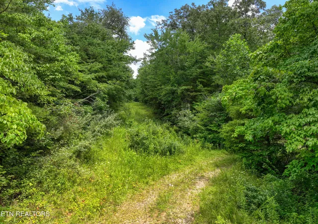 Photo 2 of Land for sale at 5288 Ac Nashville Hwy, Deer Lodge, TN 37726 | MLS# 1352317 | Listing updated on 2026-09-09