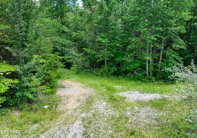 Photo 3 of Land for sale at 5288 Ac Nashville Hwy, Deer Lodge, TN 37726 | MLS# 1352317 | Listing updated on 2026-09-09