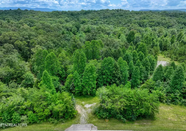 Photo 3 of Land for sale at 5288 Ac Nashville Hwy, Deer Lodge, TN 37726 | MLS# 1352317 | Listing updated on 2026-09-09
