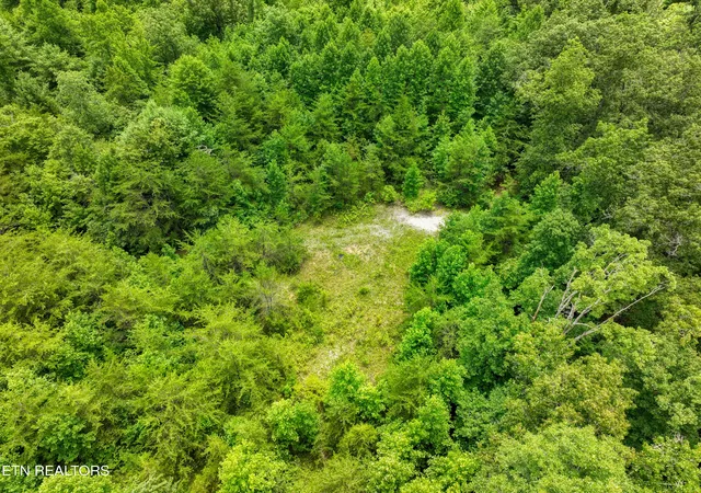 Photo 4 of Land for sale at 5288 Ac Nashville Hwy, Deer Lodge, TN 37726 | MLS# 1352317 | Listing updated on 2026-09-09