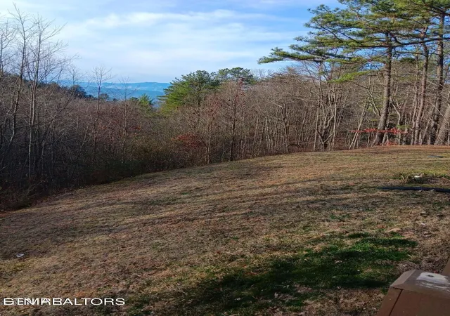3rd image of 1081 Cove Rd #1011, Sevierville, TN 37876 | MLS# 1352326